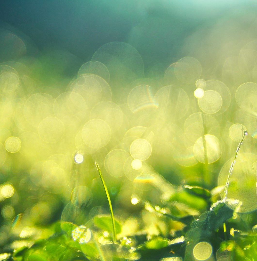 Eco Friendly Lanyards